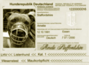 Listehund Passport